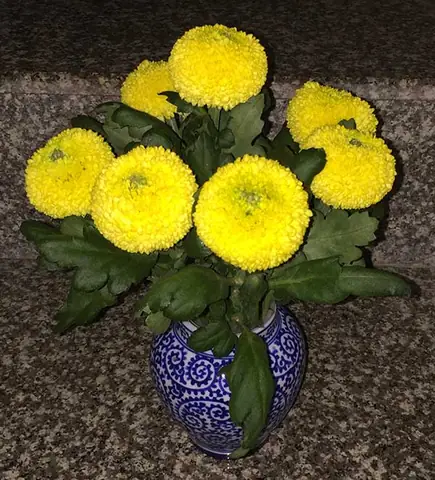 Cẩm Nang Chuẩn Bị Hoa Cúng Ông Táo: Gợi Ý 7 Loài Hoa Phù Hợp Nhất