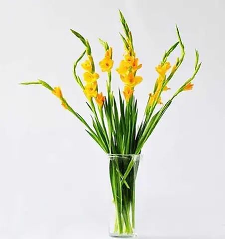 Cẩm Nang Chuẩn Bị Hoa Cúng Ông Táo: Gợi Ý 7 Loài Hoa Phù Hợp Nhất