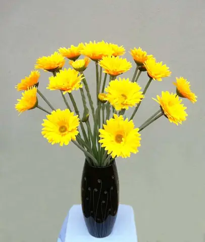 Cẩm Nang Chuẩn Bị Hoa Cúng Ông Táo: Gợi Ý 7 Loài Hoa Phù Hợp Nhất