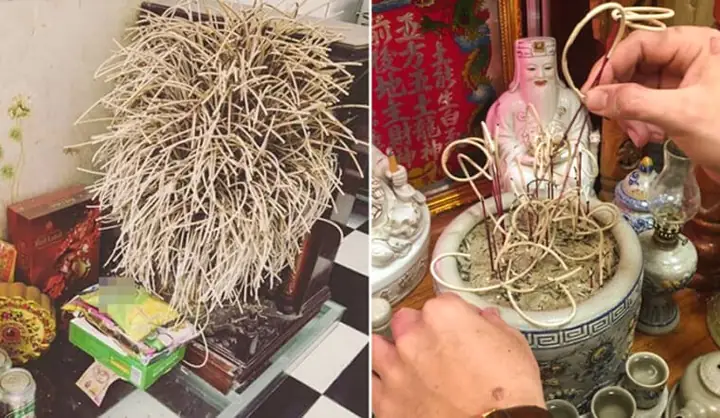 Cách Tỉa Chân Nhang Chuẩn, Không Sợ Phạm Phong Thuỷ, Thu Hút Tài Lộc