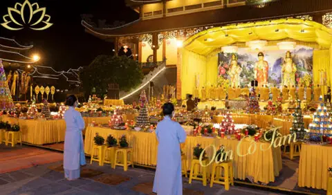 Cúng Phả Độ Gia Tiên: Cẩm Nang Chi Tiết Về Ý Nghĩa, Lễ Vật Và Nghi Thức