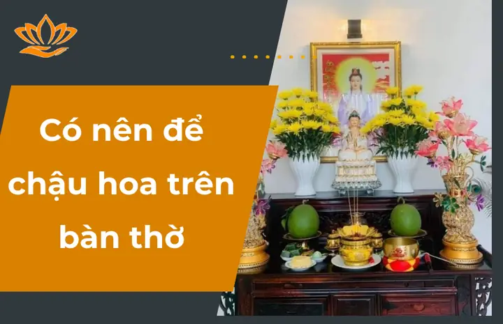Đặt Chậu Hoa Trên Bàn Thờ Có Được Không? Vị Trí Đặt? -