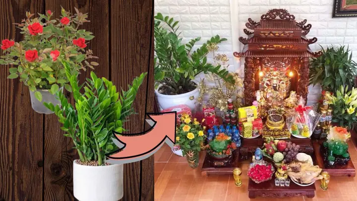 Thắp Hương Cả Chậu Hoa Được Không Hay Phải Ngắt Cành Hoa Cắm ...