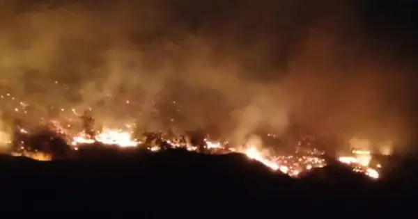 Phó Thủ Tướng Chỉ Đạo Tập Trung Khắc Phục Hậu Quả Do Cháy Rừng ...