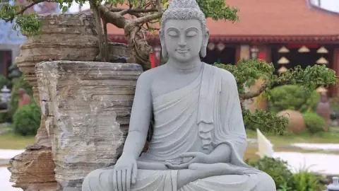 Cẩm Nang Cúng Phóng Sinh Đúng Cách Vào Rằm Tháng Giêng Để Tích Phúc Đức