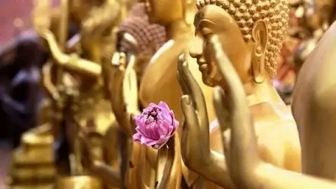 Cẩm Nang Cúng Phóng Sinh Đúng Cách Vào Rằm Tháng Giêng Để Tích Phúc Đức