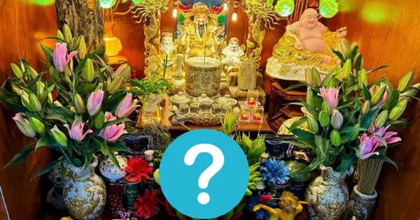 Loại Quả Khiến Thần Tài "thích Mê", Cứ Mang Bày Kiểu Gì Cũng Hút ...