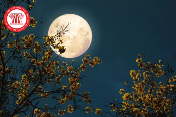 Cẩm Nang Trọn Bộ Cúng Rằm Tháng 2 Âm Lịch: Khung Giờ Đẹp, Mâm Cúng Và Những Điều Cần Nhớ