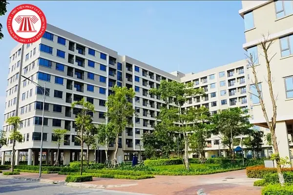 Cẩm Nang Trọn Bộ Cúng Rằm Tháng 2 Âm Lịch: Khung Giờ Đẹp, Mâm Cúng Và Những Điều Cần Nhớ