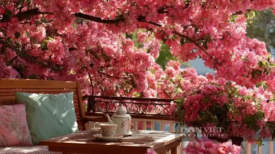 Cẩm Nang Cúng Rằm Tháng 7 Ở Chung Cư: Quy Trình Chuẩn Tâm Linh Và Phong Thủy