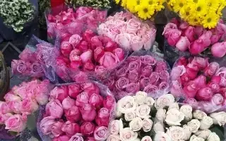 Cẩm Nang Cúng Rằm Tháng Giêng 2025: Thời Gian Đẹp Và Những Chuẩn Bị Cần Thiết