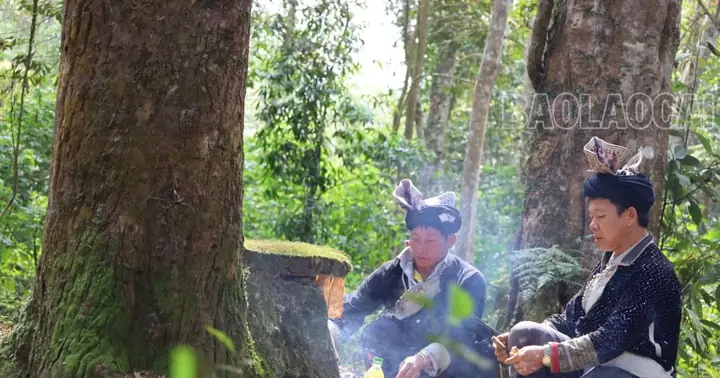 Nét Đẹp Cúng Rừng Đầu Năm | Báo Lào Cai Điện Tử