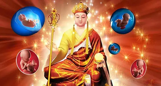 Bài Sám Hối Với Thai Nhi