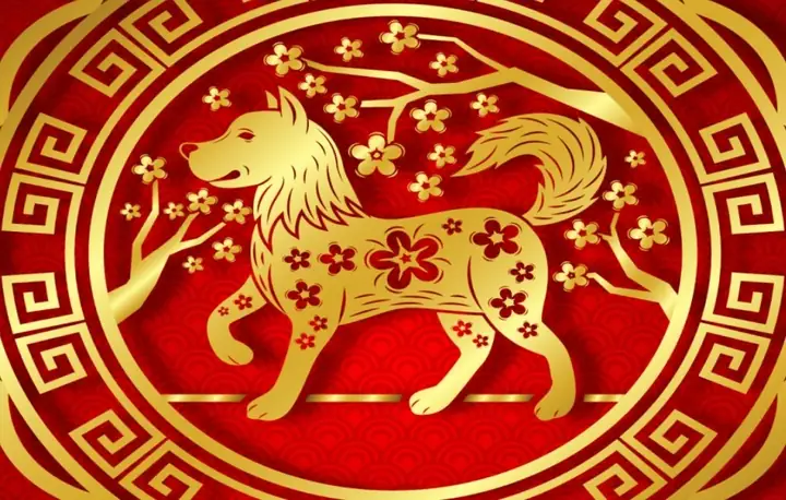 Tuổi Canh Tuất 1970 Gặp Sao Chiếu Mệnh Nào Năm 2026?