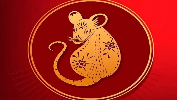 Tuổi Bính Tý 1996 Nên Làm Gì Để Hóa Giải Xui Xẻo Khi Sao Xấu Chiếu ...