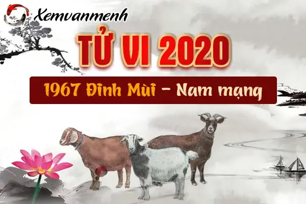 Blog Phong Thủy :: Xem Tử Vi Năm 2020 Tuổi Đinh Mùi 1967 Nam Mạng