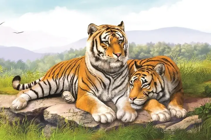 Tuổi Giáp Dần 1974 Nên Làm Gì Để Hóa Giải Xui Xẻo Khi Sao Xấu ...