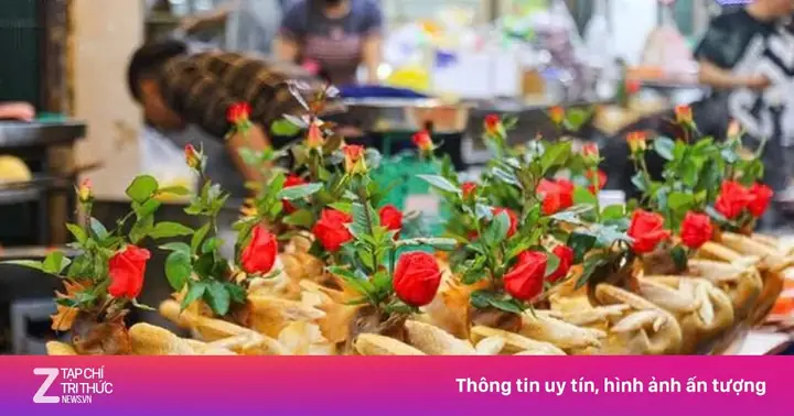 Chuyên Gia Lý Giải Vì Sao Cỗ Cúng Dùng Gà Trống Mà Không Dùng Gà ...