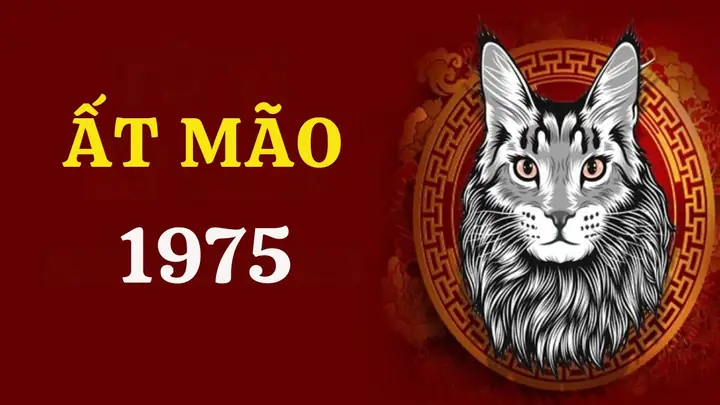 Tử Vi Năm 2026 Tuổi Ất Mão 1975 – Nữ Mạng - Đào Tạo Trí Tuệ ...