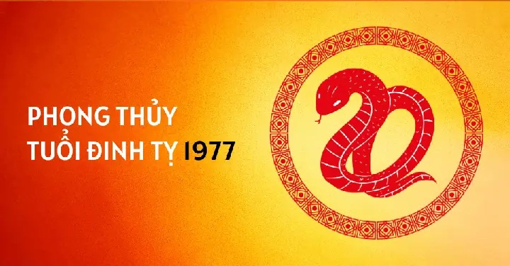 Tử Vi Năm 2026 Tuổi Ất Tỵ 1965 – Nam Mạng - Đào Tạo Trí Tuệ ...