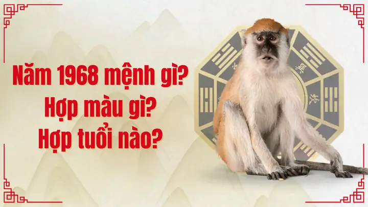 Nam Nữ Mậu Thân 1968 Mệnh Gì? Hợp Màu Gì Hợp Tuổi Nào?