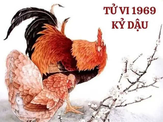 Tử Vi Tuổi Kỷ Dậu Năm 2026 Nam Mạng: Giai Đoạn Giao Thoa, Nhiều ...