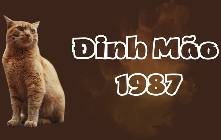 Vật Phẩm Phong Thủy Nào Hợp Sao Chiếu Mệnh Năm 2026 Cho Tuổi ...