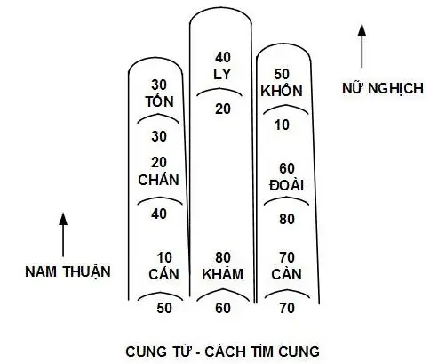 Cung Tử