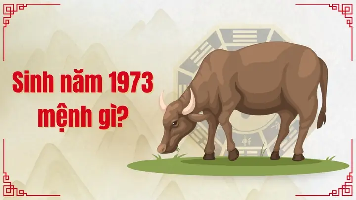 Nam, Nữ Tuổi Quý Sửu 1973 Mệnh Gì Hợp Màu Gì? Hợp Tuổi Nào?