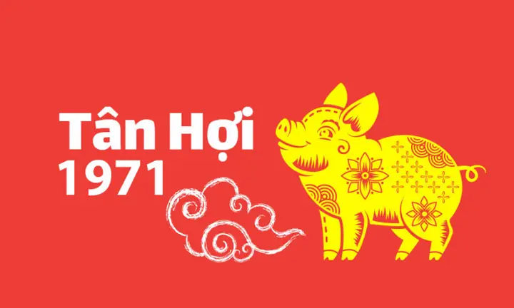 Cúng Sao Tuổi Tân Hợi 2026: Cẩm Nang Chi Tiết Cho Người Sinh Năm 1971
