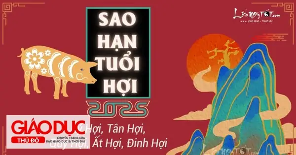 Cúng Sao Tuổi Tân Hợi 2026: Cẩm Nang Chi Tiết Cho Người Sinh Năm 1971