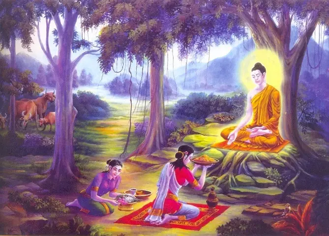 Giai Thoại: Bát Cháo Sữa Của Nàng Sujata Và Đức Phật Thành Đạo