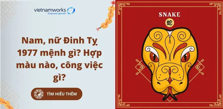 Giải Đáp Đinh Tỵ 1977 Mệnh Gì, Cung Gì?