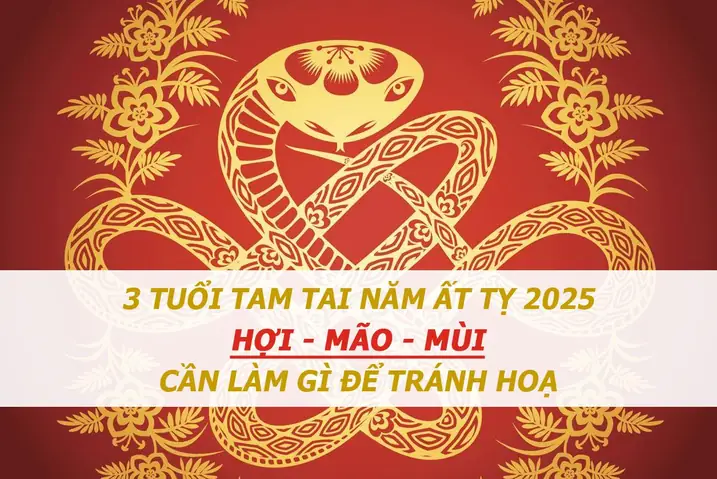 Tuổi Phạm Tam Tai Năm Ất Tỵ 2025 - Cần Làm Gì Tránh Tai Hoạ ?