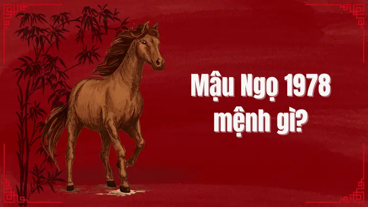 Mậu Ngọ 1978 Mệnh Gì, Hợp Màu Gì? Tử Vi Và Các Yếu Tố Hợp Kỵ