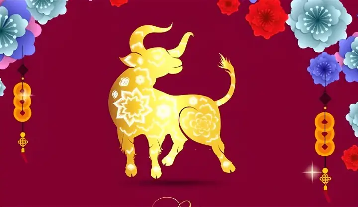 Tuổi Ất Sửu Sinh Năm 1985 Là Mệnh Gì? Hợp Với Tuổi Nào, Kỵ Tuổi Nào?