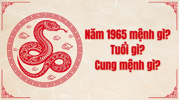 Sinh Năm 1965 Mệnh Gì, Hợp Màu Gì? Phong Thuỷ Tuổi Tỵ 1965