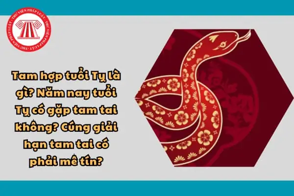 Cúng Tam Tai Tuổi Tỵ: Cẩm Nang Chi Tiết Cho Người Sinh Năm 1969