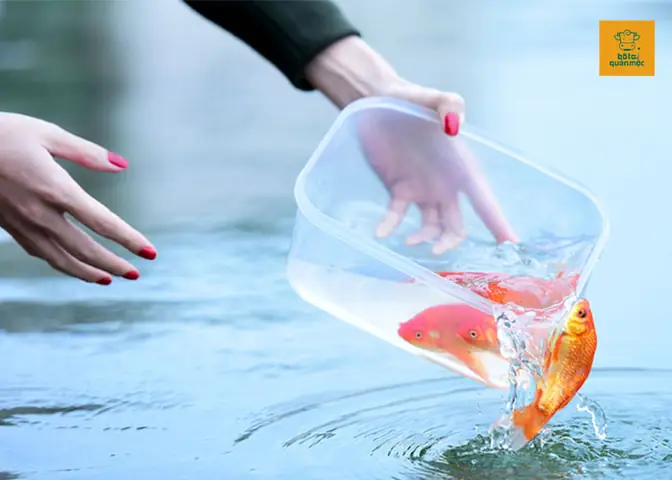 Cẩm Nang Toàn Tập Về Tục Cúng Táo Quân Ngày 23 Tháng Chạp