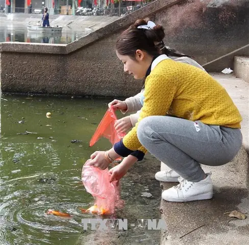 Sau Khi Thả Cá, Nên Bỏ Túi Đựng Cá Vào Thùng Rác, Tuyệt Đối Không Vứt Túi Nilon Bừa Bãi Gây Ô Nhiễm Môi Trường. Ảnh: Ttxvn