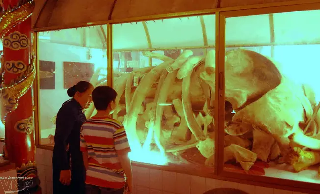 Tham Dự Lễ Hội Đặc Sắc Nhất Vũng Tàu Ở Đình Thần Thắng Tam ...