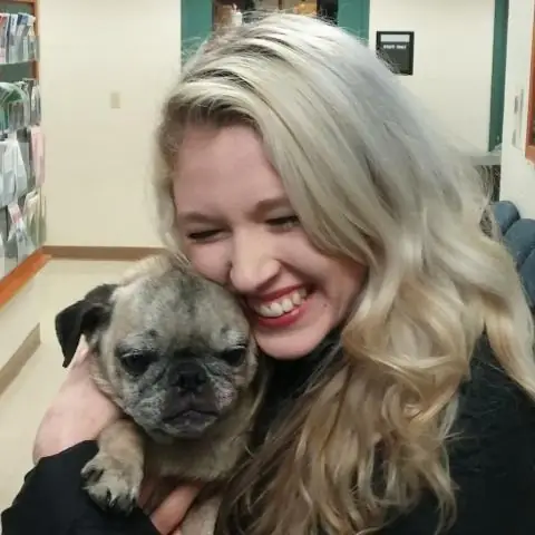 Yêu Cầu Nhận Lại Thú Cưng Của Bạn | Dịch Vụ Động Vật