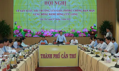 Gạo Việt Nam Sẽ Trụ Vững Với Phân Khúc Chất Lượng Cao