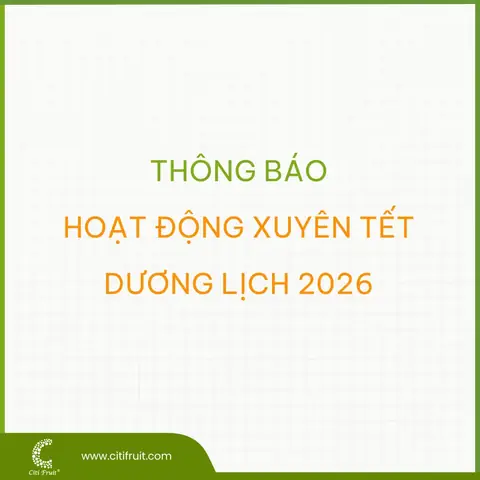 Cẩm Nang Toàn Tập Về Cúng Tổ Nghề Sân Khấu: Nguồn Gốc, Ý Nghĩa Và Nghi Thức Chuẩn