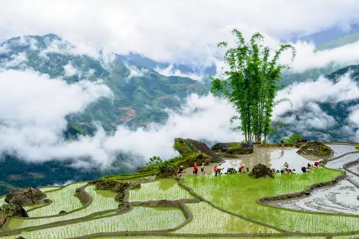 Lễ Cúng Trăng Ok Om Bok: Nguồn Gốc, Ý Nghĩa Và Nghi Thức Truyền Thống Của Người Khmer