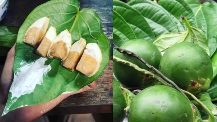 Mẹo Bảo Quản Bưởi Để Cả Năm Không Thối, Bưởi Xuống Nước Ăn Ngọt Ngon, Giàu Dinh Dưỡng