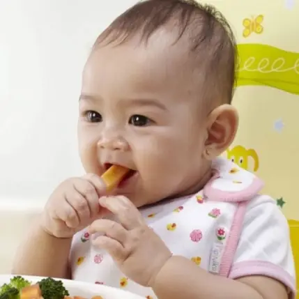 Thuộc Lòng 7 Nguyên Tắc Ăn Dặm Mẹ Nào Cũng Nên Áp Dụng Cho Con