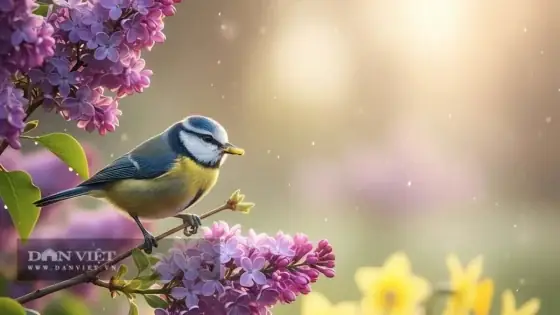 Cúng Xá Tội Vong Nhân: Thời Gian Tốt Nhất Và Những Điều Cần Biết