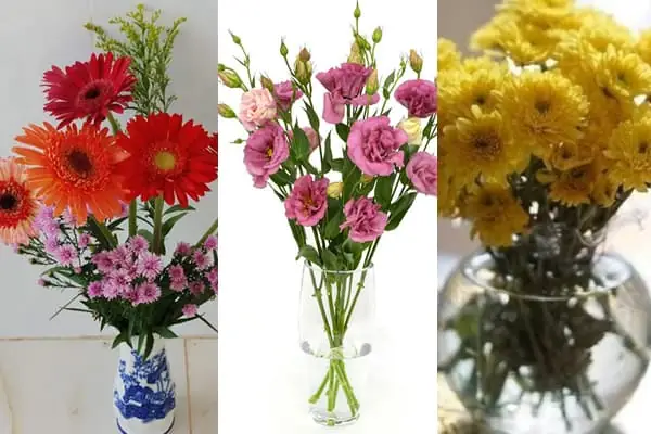 Cúng Xe Nên Cúng Trái Cây Gì? Cẩm Nang Lễ Vật Chu Tâm Lý Từ Chuyên Gia