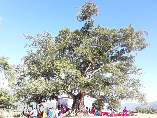 Bảo Tồn Và Phát Huy Giá Trị Di Sản Ở Đại Hưng (đại Lộc, Quảng Nam)